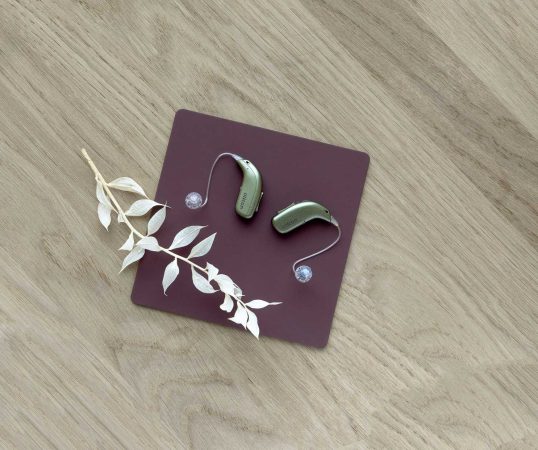 Oticon_Real_Still_Life_miniRITE_R_Dried_Flowers_TH_X3A1285_1_compressed